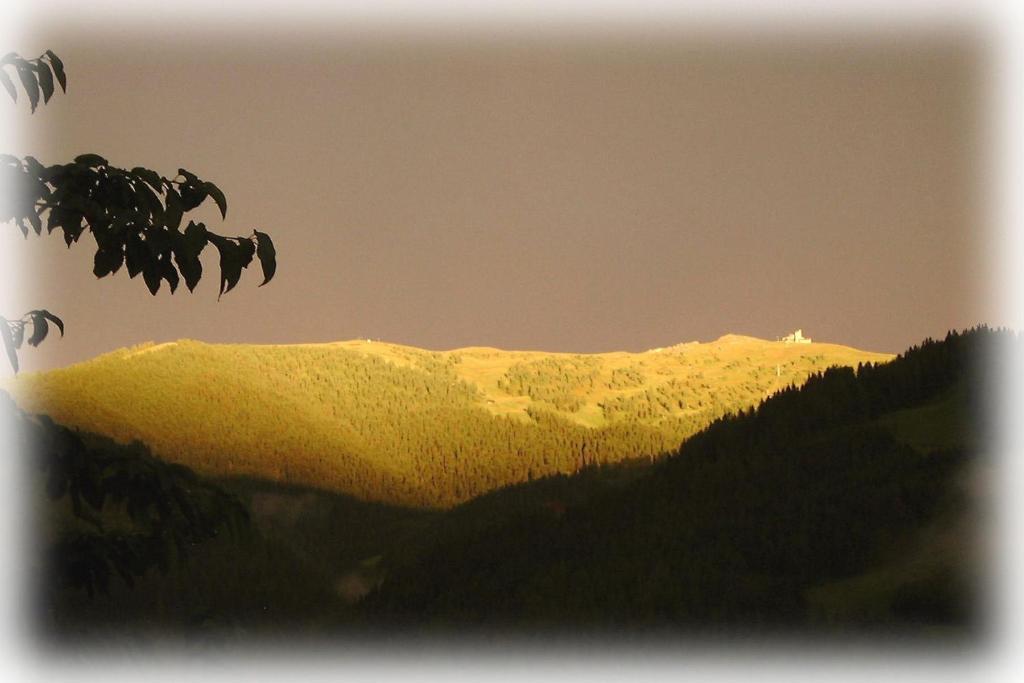 Panoramapension Lerchner บาด ไคลน์เคิร์ชไฮม์ ภายนอก รูปภาพ